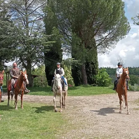 All'antico Silbule * Capolona