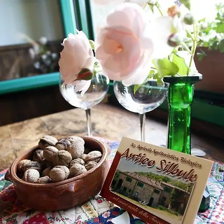 Farma All'antico Silbule *